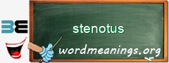 WordMeaning blackboard for stenotus